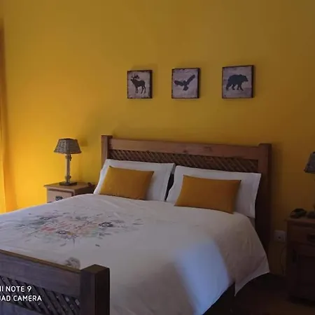 Quinta Do Favacal - Agroturismo - Serra Da Estrela Casegas Zimmer foto