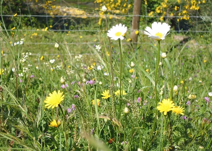 Quinta Do Favacal - Agroturismo - Serra Da Estrela