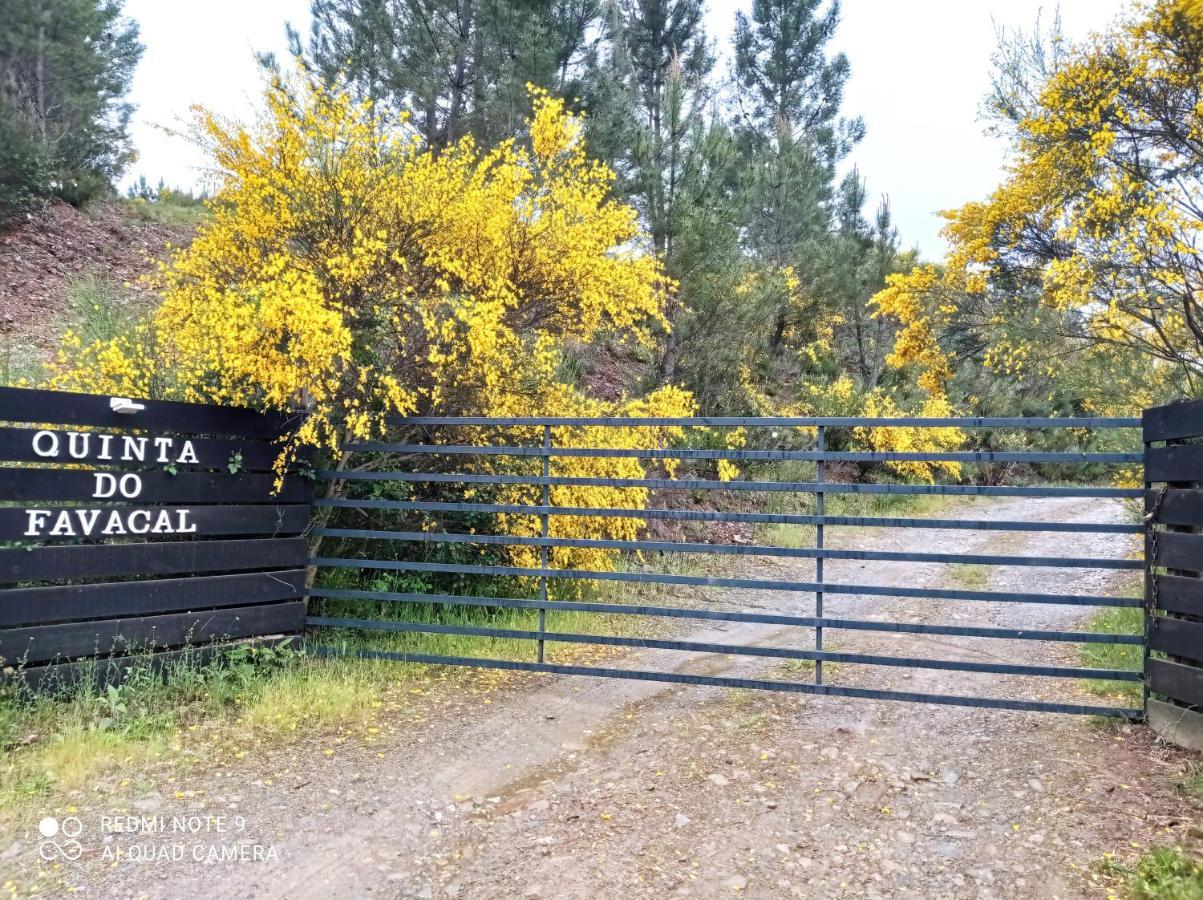 Landhaus Quinta Do Favacal - - Serra Da Estrela Casegas