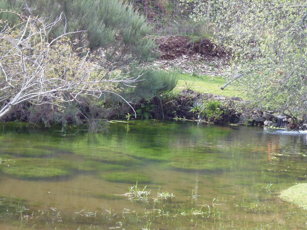 Quinta Do Favacal - - Serra Da Estrela
